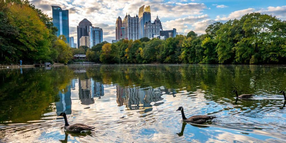 Geranium Giant Close Proximity To Piedmont Park أتلانتا المظهر الخارجي الصورة